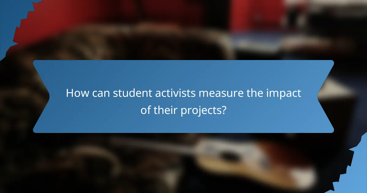 How can student activists measure the impact of their projects?