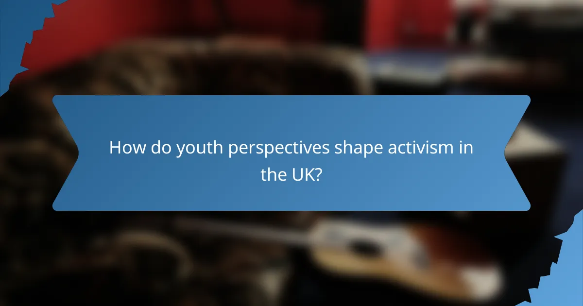How do youth perspectives shape activism in the UK?
