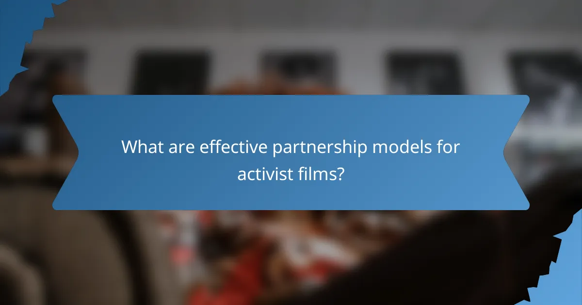 What are effective partnership models for activist films?