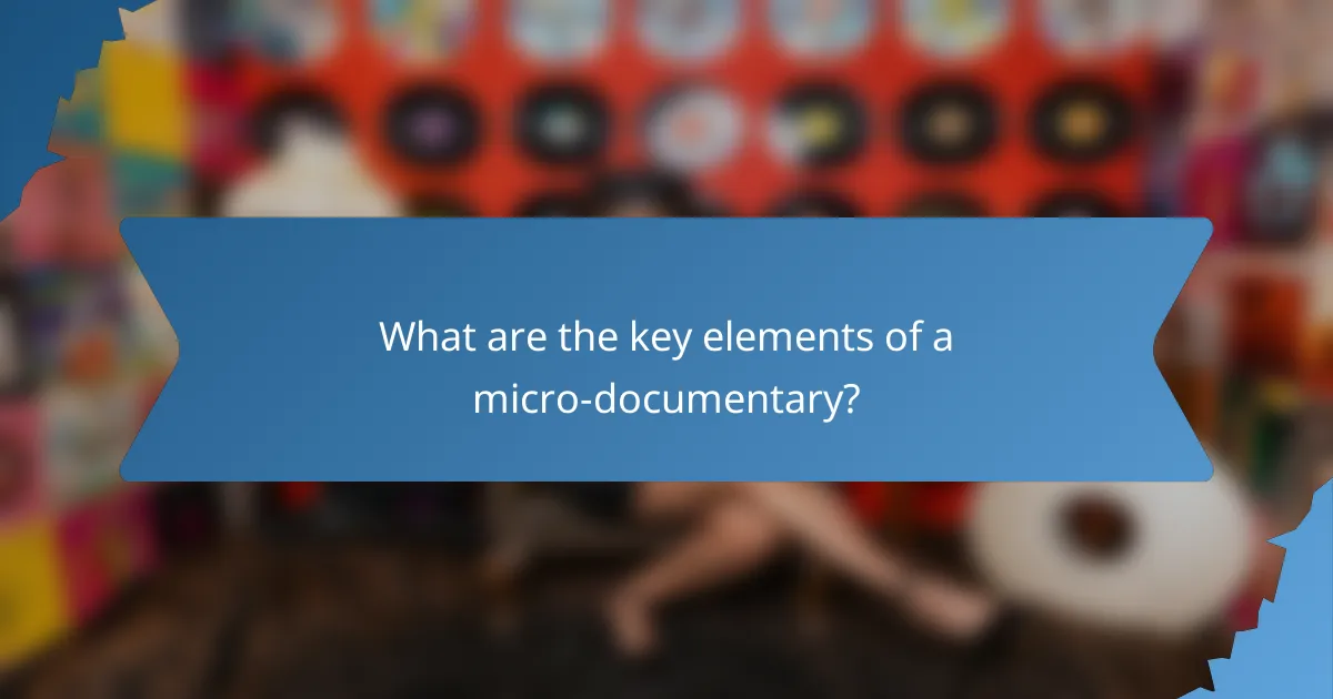 What are the key elements of a micro-documentary?